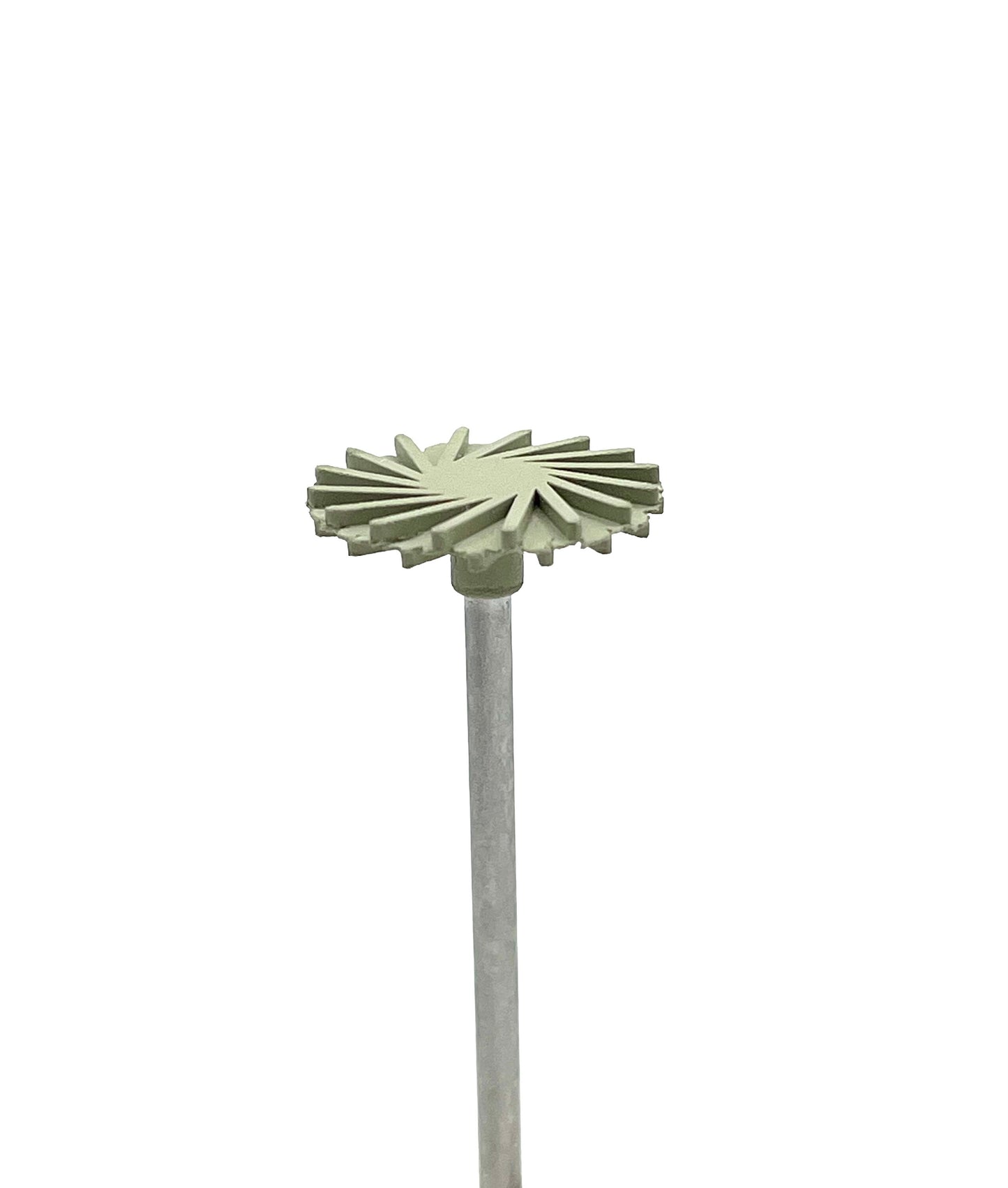 Eve Radial Bristle Wheel - 17mm - Extra Fine