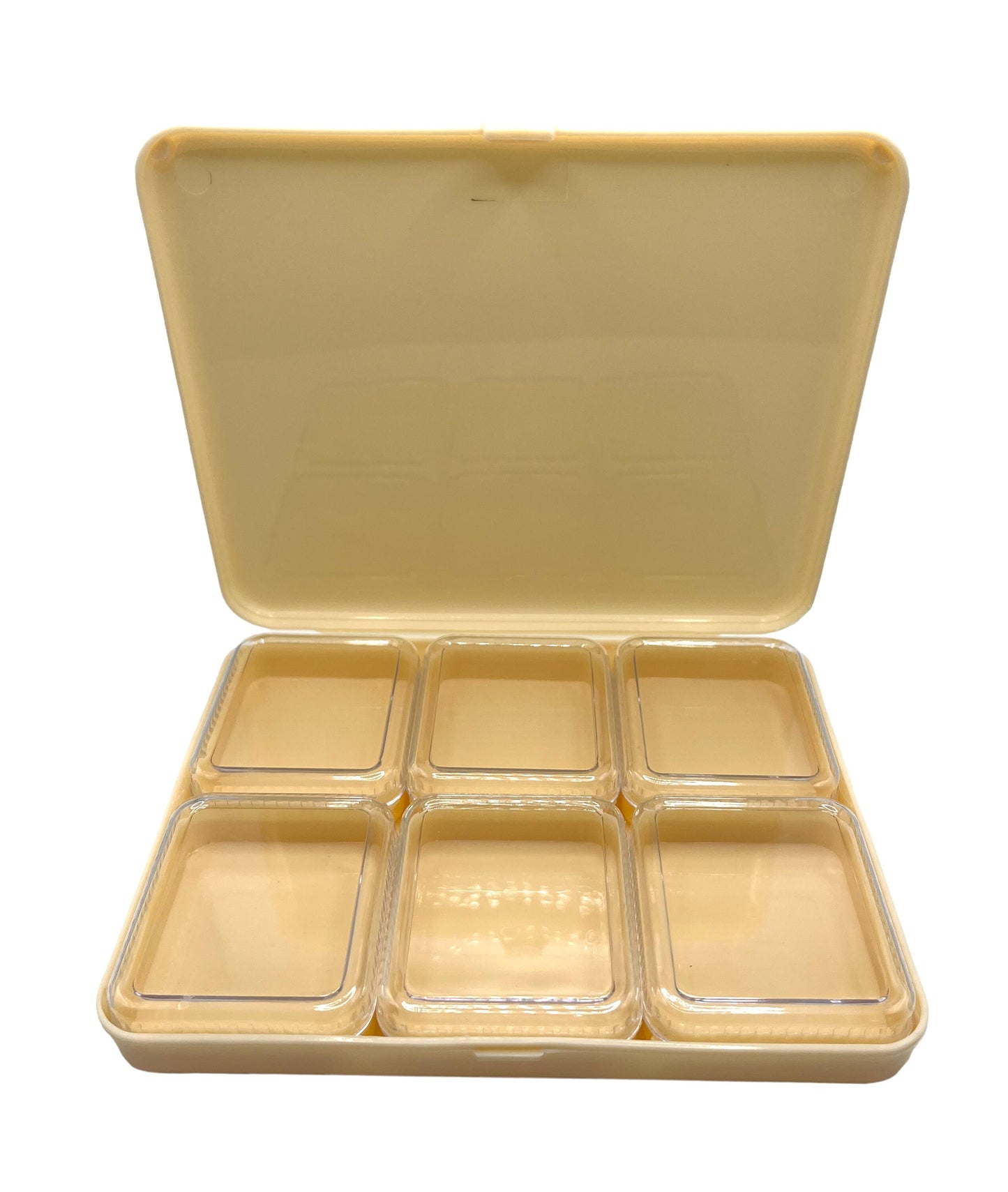 Storage Box With 6 Individual Boxes