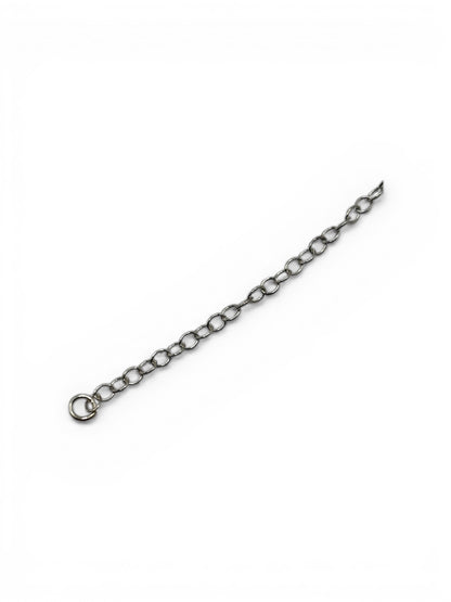 Silver chain with a clasp on a white background