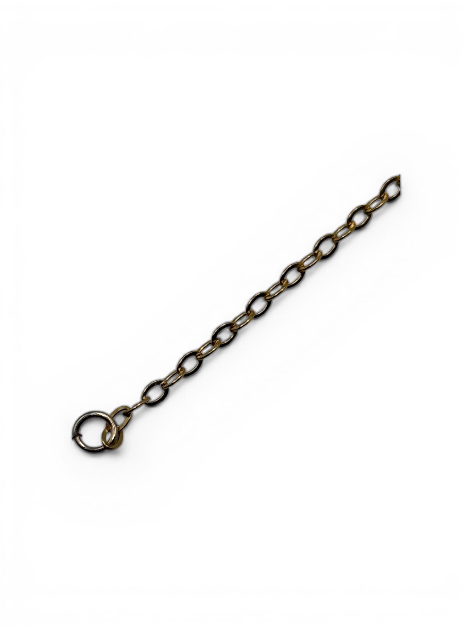 Metal chain with a hook on a white background