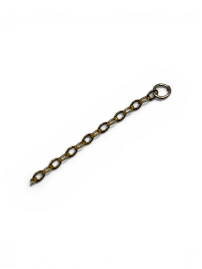 Metal chain with a ring on a white background